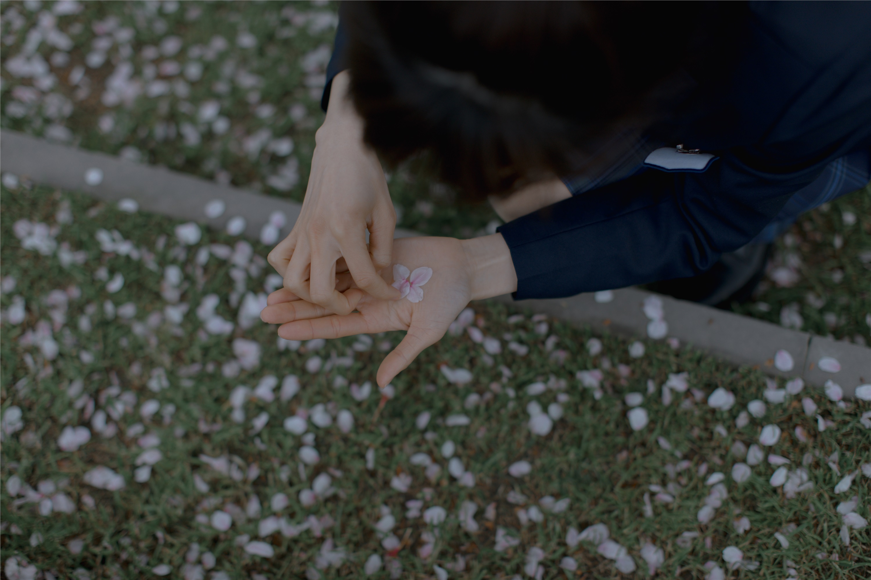 YITUYU艺图语 2021.09.02 樱花渐落 汤兮兮